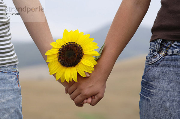 Händchenhalten mit Sonnenblume  Nahaufnahme