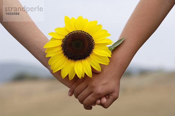 Händchenhalten mit Sonnenblume