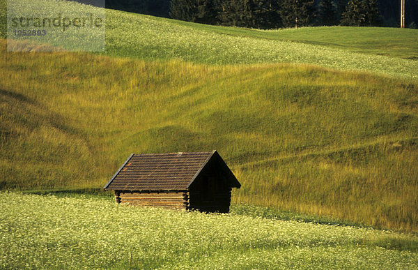 Germany  Alpine Uplands