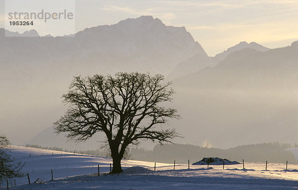 Deutschland  Bayern  Murnauer Land mit Zugspitze höchster Berg Deutschlands