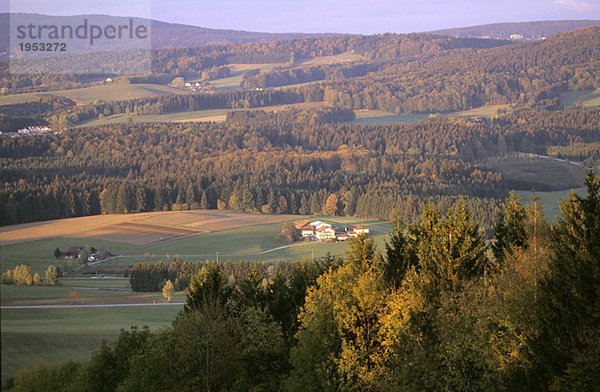 Landschaft  bei Freyung  Bayerischer Wald  Deutschland  Hochwinkelansicht