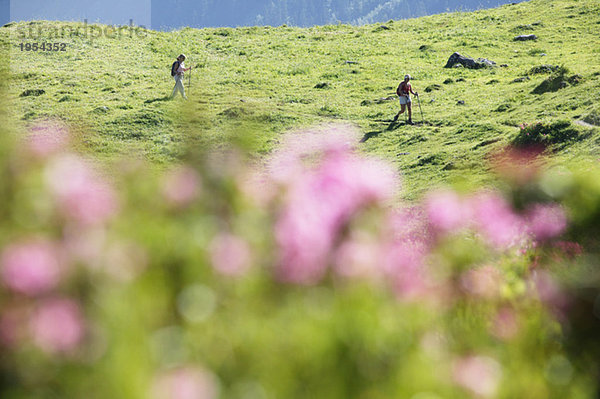 Zwei Frauen beim Wandern in den österreichischen Alpen