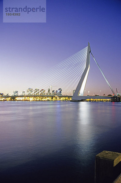 Erasmusbrücke  Rotterdam  Zuid-Holland  Niederlande