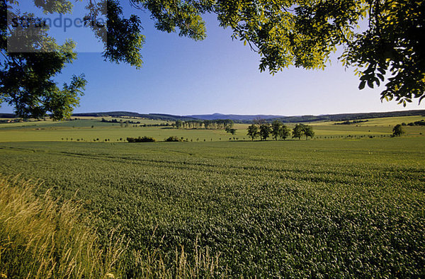 Germany  Thuringia  Fields in Marksuhl