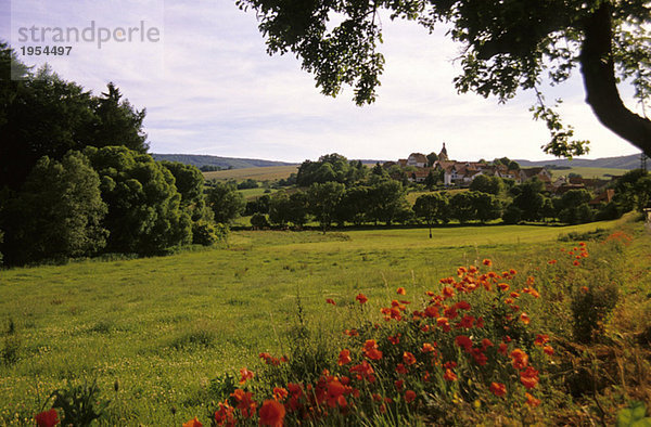 Germany  Thuringia  village Wiesenfeld