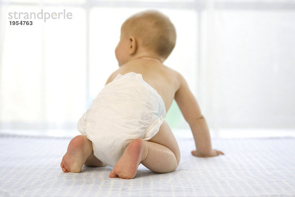 Baby Junge (6-12 Monate) kriechend  Rückansicht