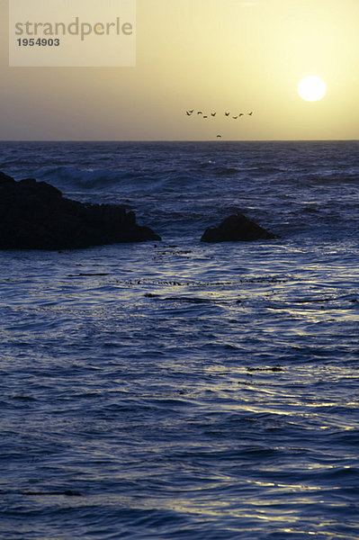 USA  Kalifornien  San Francisco  Sonnenuntergang auf See