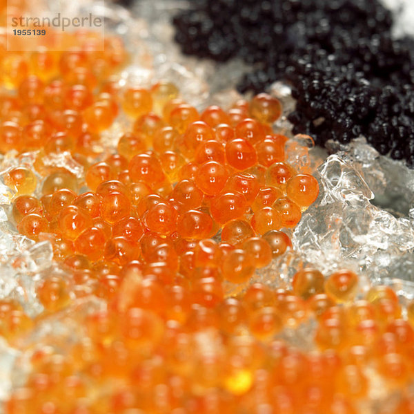 Roter und schwarzer Kaviar auf Crushed Ice  Nahaufnahme