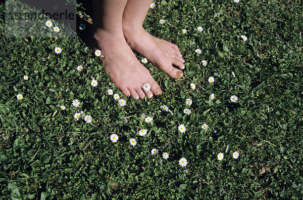 Füße auf Gras mit Gänseblümchen  Nahaufnahme