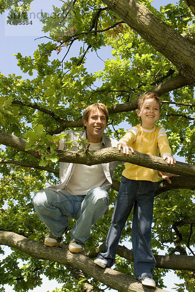 Vater und Sohn (4-7) auf Baum  Blickwinkel niedrig