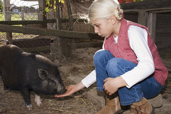 Mädchen (7-9) mit Hängebauchschwein im Stall  Seitenansicht