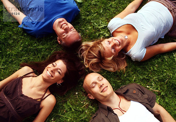 Vier Freunde im Gras liegend