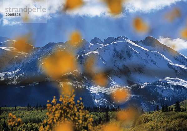 Verschneite Berge über Herbstlandschaft  Herbstblätter im Vordergrund