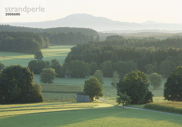Voralpenlandschaft mit Wiesen und Wäldern  Oberbayern  Deutschland