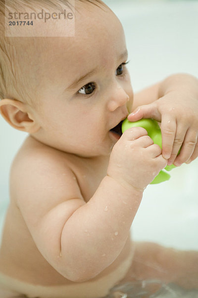 Babybad  Spielzeug in den Mund nehmen  Nahaufnahme