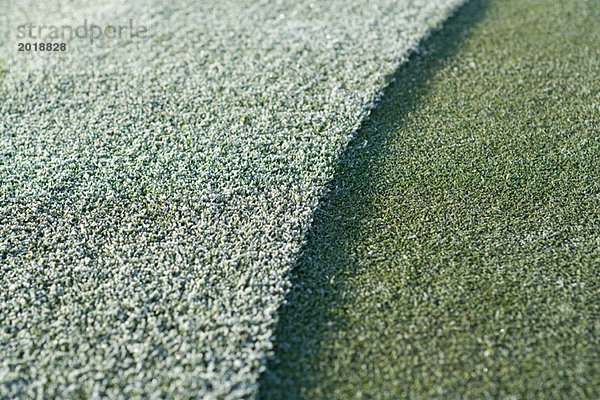 Frostbedecktes Golfgrün  Vollrahmen