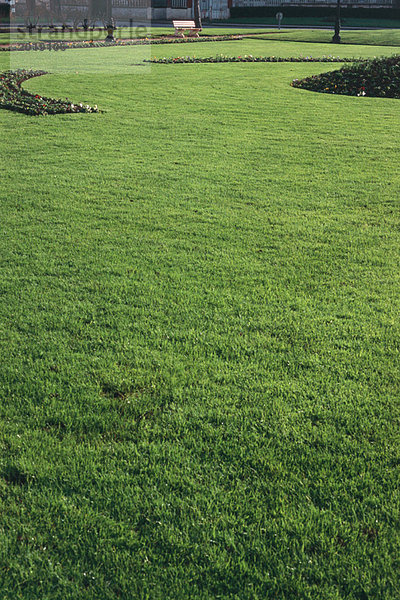Grüner Rasen im Park