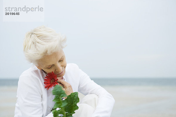 Seniorin mit Gerbera-Gänseblümchen im Gesicht  Ozean im Hintergrund  Kopf und Schultern