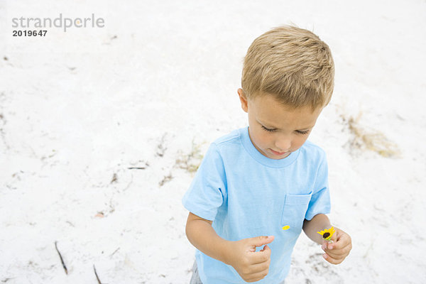 Kleiner Junge pflückt Blütenblätter von der Blüte  Hochwinkelansicht  Sand im Hintergrund