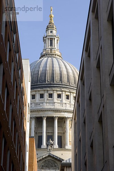 Untersicht der Kathedrale  St. Paul s Cathedral  London  England