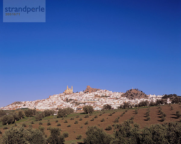 10505184  Europa  Andalusien  Spanien  Olvera  weiß  Stadt  Ansicht  Burg  Kirche