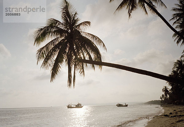 Palmen am Strand und Boote im Meer