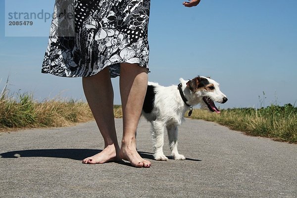 Niedrige Schnittansicht Frau zu Fuß mit Hund auf Straße