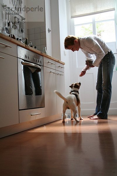 Seitenprofil des Mannes Fütterung Hund in Küche