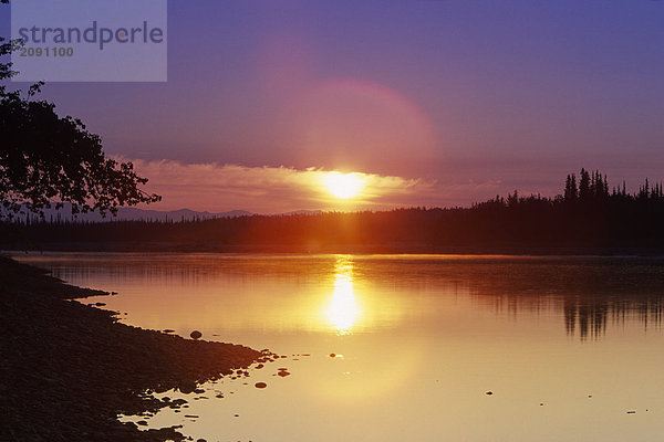 Sonnenaufgangs-Wanderung auf den Koyukuk River arktische Alaska Sommer