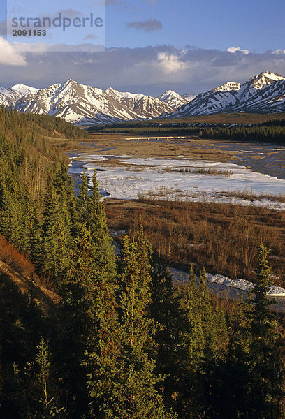 Teklanika River & Alaska reichen Landschaft Denali NP Sommer