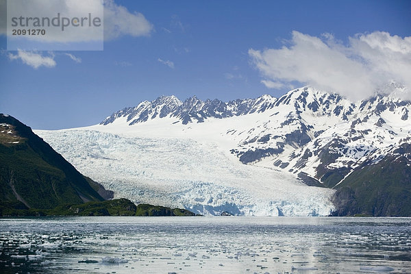 Aialik Gletscher erfüllt Aialik Bucht innerhalb der Kenai Fjords-Nationalpark Sommer South Central Alaska