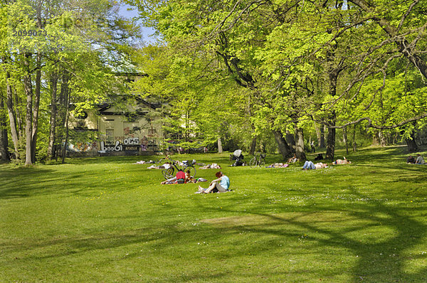 Germany  Bavaria  Munich  people sunbathing in park