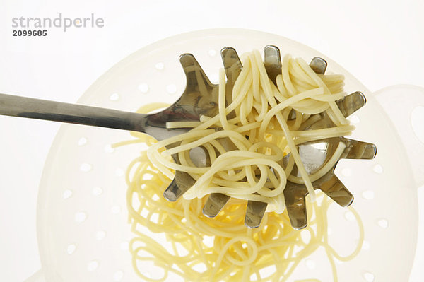 Spaghetti auf Kelle  Nahaufnahme