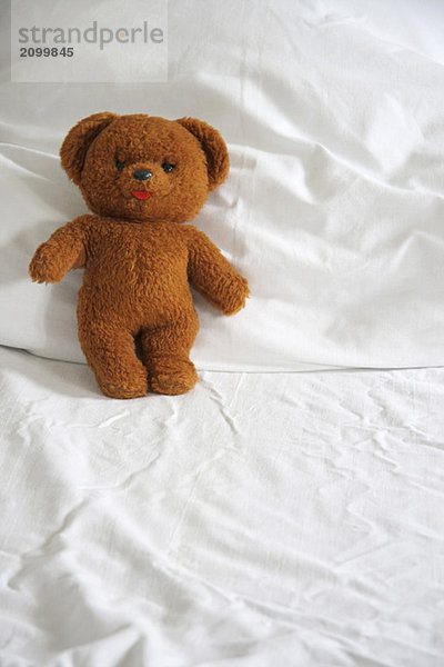 Teddybär auf Bettdecke  Nahaufnahme
