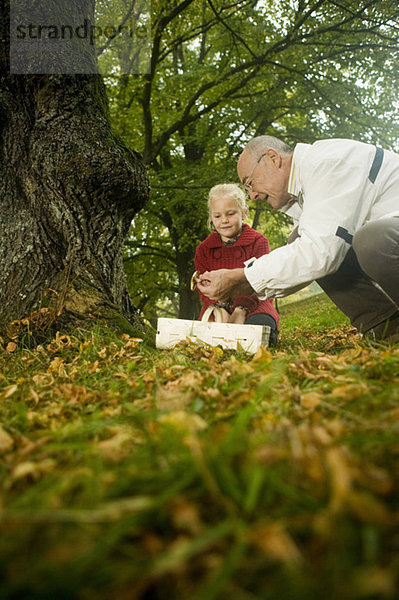 Deutschland  Baden-Württemberg  Schwäbische Alb  Großvater und Enkelin suchen Pilze im Wald  Portrait