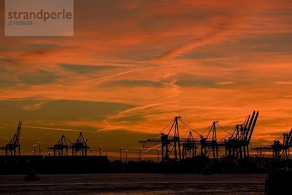 Silhouette der Kräne im Hafen bei Dämmerung  Hafen von Hamburg  Hamburg  Deutschland