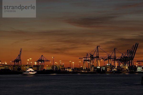 Silhouette der Kräne im Hafen bei Dämmerung  Hafen von Hamburg  Hamburg  Deutschland