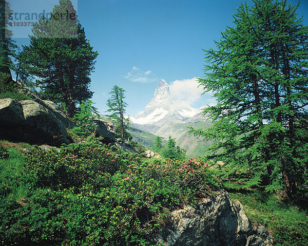 Berg Reise Matterhorn Schweiz Zermatt