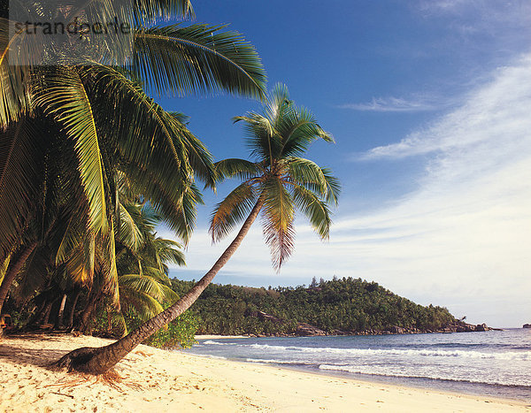 Reisen. Seychellen. Mahe. Tropical Beach.