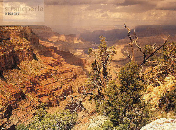 Reisen. Vereinigten Staaten von Amerika. Arizona. Grand Canyon. Landschaft.