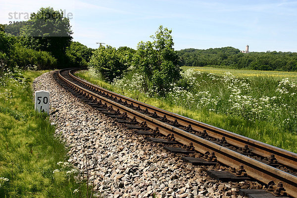 Eisenbahnschienen passieren Landschaft  Rasender Roland  Granitz  Rügen  Mecklenburg-Vorpommern  Deutschland
