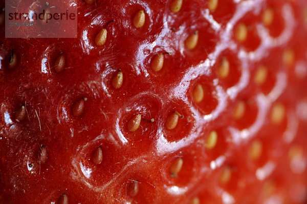 Nahaufnahme von Strawberry Fruit