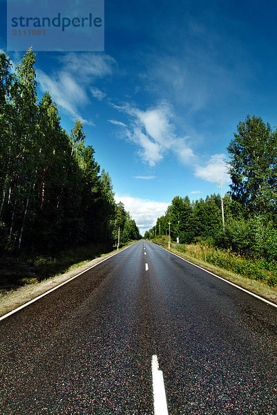 Straßenlauf durch Wald