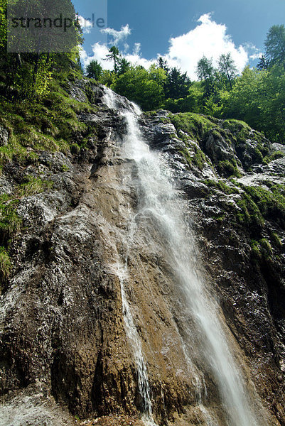 Wasserfall im Wald