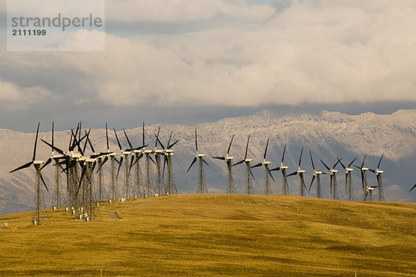 Windmills used to generate electrical power near Pincher Creek in southern Alberta  Canada