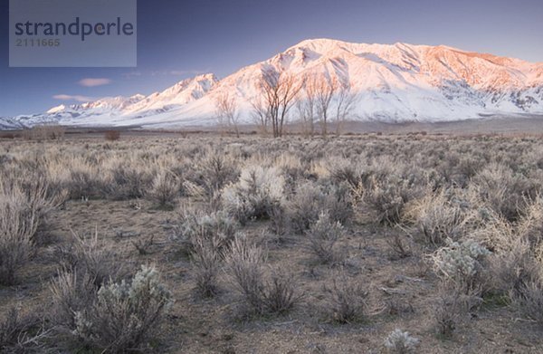 Sunrise on a snowcapped peak in the California desert  Bishop  California  USA