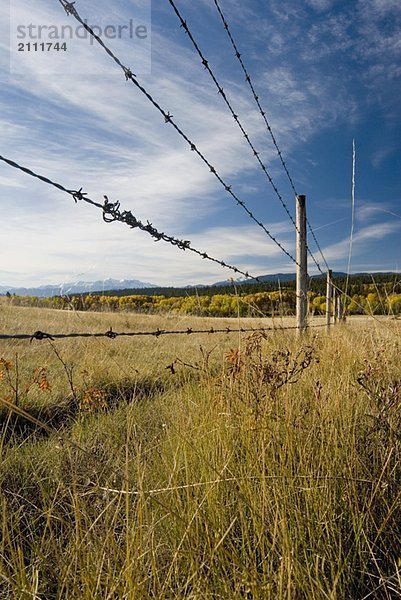 Fence through rural farmland with snowcapped mountains in the background  Clinton  BC  Canada