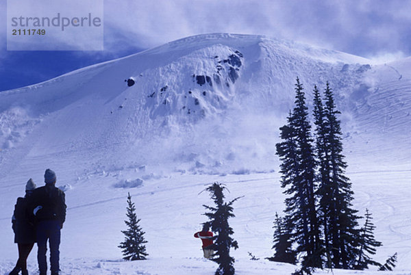 Archival image of Avalanche  Whistler  British Columbia  Canada