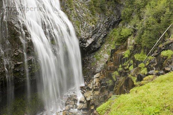 Narada Falls  Mount Rainier National Park  Washington  USA