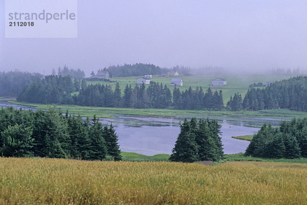 Hayfields and inlet in misty PEI  near Souris  PEI